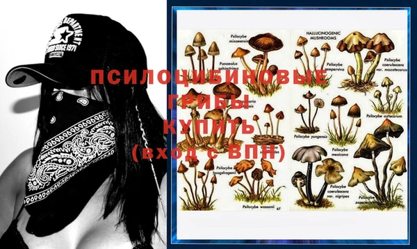 прущий лед Краснослободск