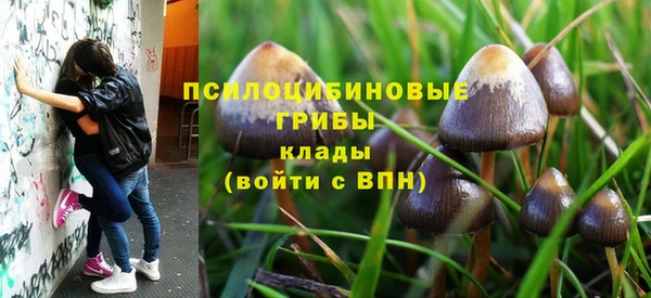 прущий лед Краснослободск