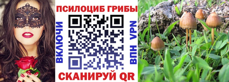 Купить где  Железноводск  Псилоцибиновые грибы Magic Shrooms 