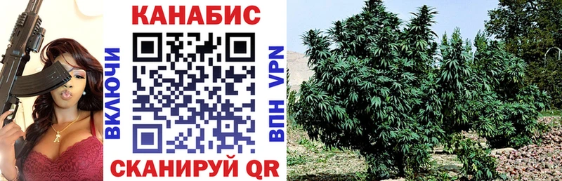 Купить где  Железноводск  Марихуана OG Kush 